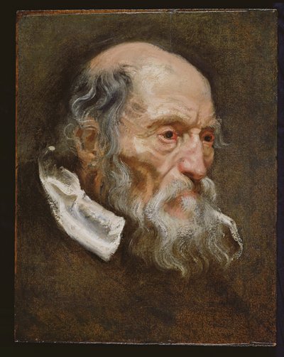 Portrait of an Old Man by Anthony van Dyck